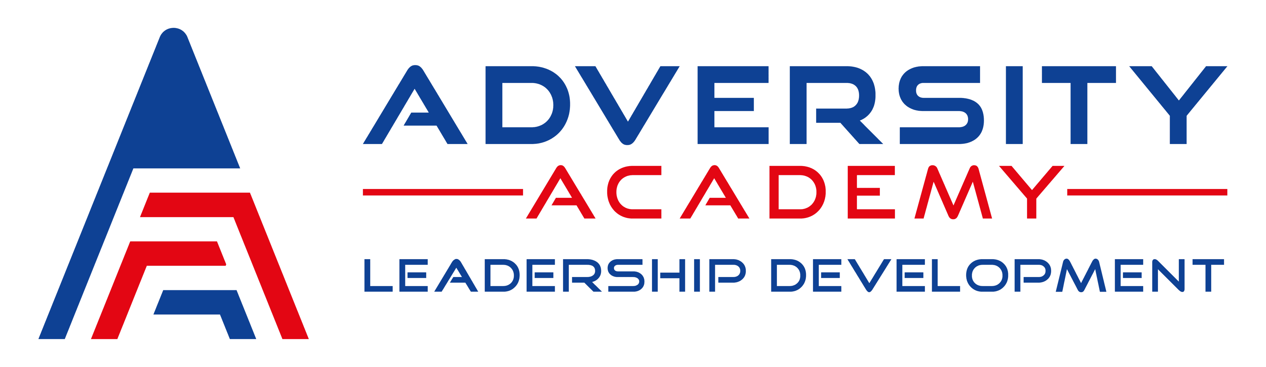 The Adversity Academy Leadership Group