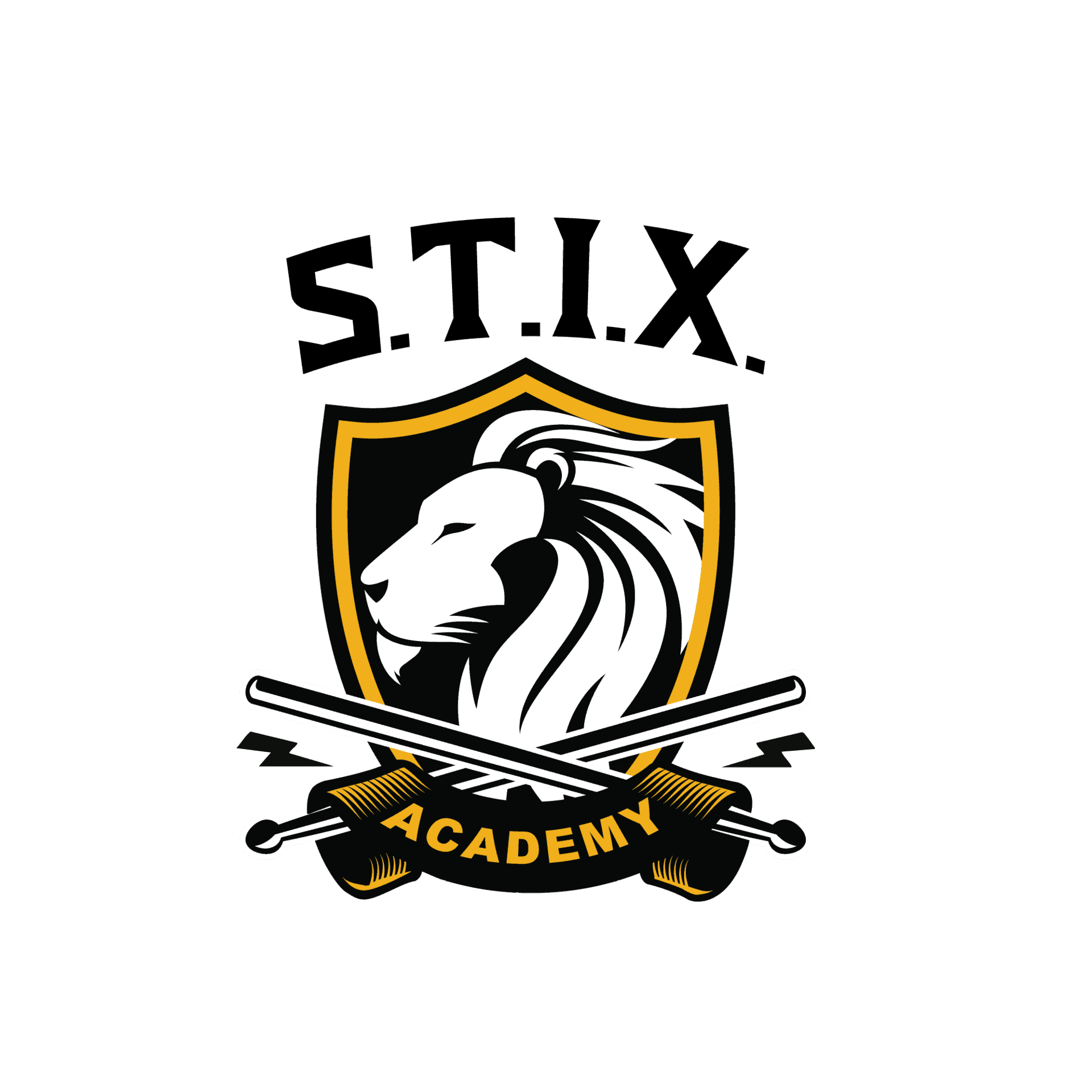 S.T.I.X. Academy